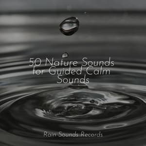 50 Nature Sounds for Guided Calm Sounds - Rain Sounds & White Noise