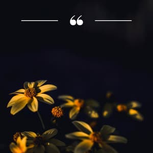 Calm Oceans: The Lighthouse for Music for Relaxation - The Monk by the Sea