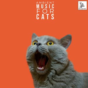 Ambient Music For Cats - Jingle Cats
