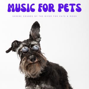 Music For Pets: Serene Sounds Of The River For Cats & Dogs - Gentle Doggy Music