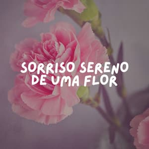 Sorriso Sereno de uma Flor - Musica de Yoga