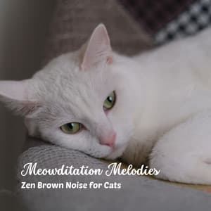 Meowditation Melodies: Zen Brown Noise for Cats - Noise Foundation