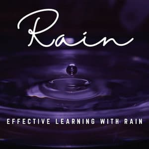 Raindrop Concentration: Music for Effective Learning - Soft Background Music