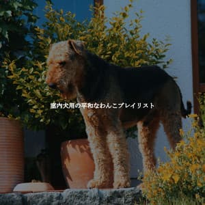 室内犬用の平和なわんこプレイリスト - Classic Jazz Music