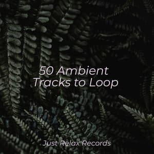 50 Ambient Tracks to Loop - Japanese Relaxation and Meditation