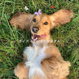 ライズ・アンド・ウィグル - Cafe Smooth Jazz Radio