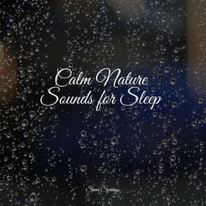 Calm Nature Sounds for Sleep - Rain Sounds Collection