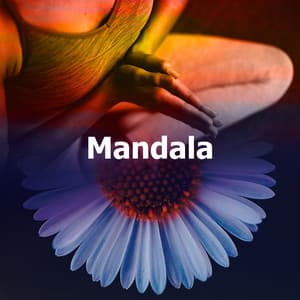 Mandala - Yoga Club