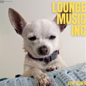 Low Down - Lounge Music Inc