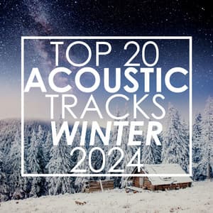 Top 20 Acoustic Tracks Winter 2024 - Guitar Tribute Players