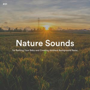 #01 Nature Sounds for Bathing Your Baby and Creating Ambient Background Noise - The Nature Soundscapes