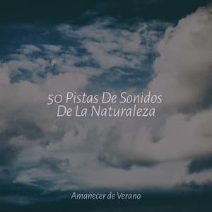 50 Pistas De Sonidos De La Naturaleza - Lullabies for Deep Meditation