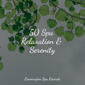 50 Spa Relaxation & Serenity - A Sudden Rainstorm