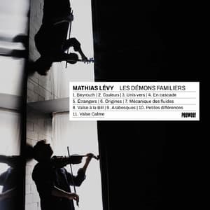 Les démons familiers - Mathias Lévy