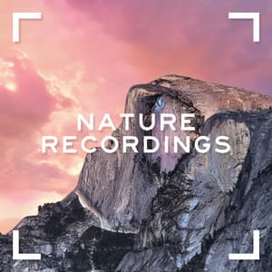 Nature Recordings - Sleep Music