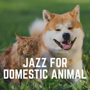 Jazz for Domestic Animal - Jazz Music Therapy for Cats