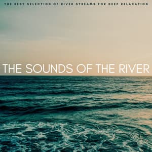 The Sounds Of The River: The Best Selection Of River Streams For Deep Relaxation - 4D Nature Recordings