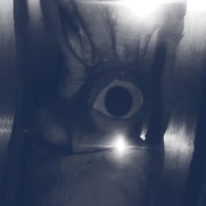 Praxis - Chris Abrahams