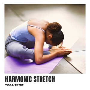 Harmonic Stretch: Relaxing Yoga - Yoga Tribe