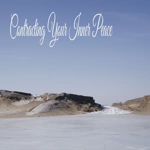 Contracting Your Inner Peace - Naturaleza Sonidos