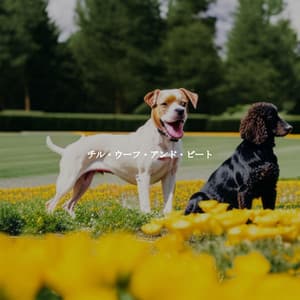 チル・ウーフ・アンド・ビート - Cafe Jazz Duo