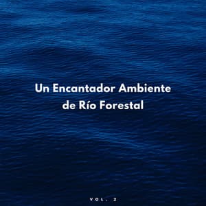 Un Encantador Ambiente De Río Forestal Vol. 2 - Corrientes de sueños