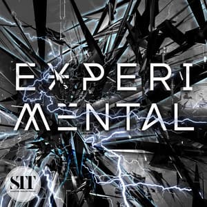 Experimental - Udi Harpaz