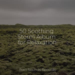 50 Soothing Storm Album for Relaxation - Spa & Spa