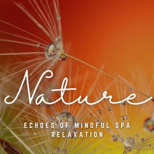 Massage Reverie: Echoes of Mindful Spa Relaxation - Spa Channel