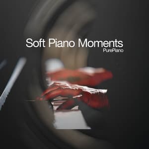Soft Piano Moments - PurePiano