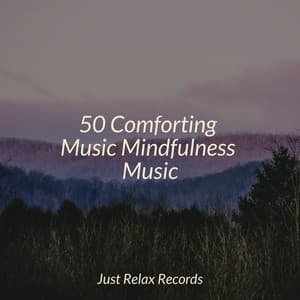 50 Comforting Music Mindfulness Music - Sleep Baby Sleep
