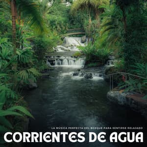 Corrientes De Agua: La Música Perfecta Del Bosque Para Sentirse Relajado - Sonidos De Agua