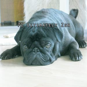 71 Ultimately Zen - Piano Relax