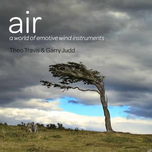 Air - Theo Travis