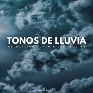 Tonos De Lluvia: Relajación Junto A Las Lluvias Vol. 1 - Sonidos de lluvia ASMR