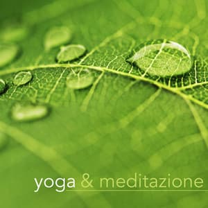 Yoga & Meditazione - Musica di Sottofondo per Lezioni di Yoga, Pilates e Reiki, Meditazione e Rilassamento - Yoga Trainer