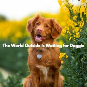 The World Outside Is Waiting for Doggie - Music for Sleeping Puppies