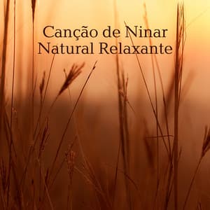 Canção de Ninar Natural Relaxante - Hipnose Natureza Sons Coleção
