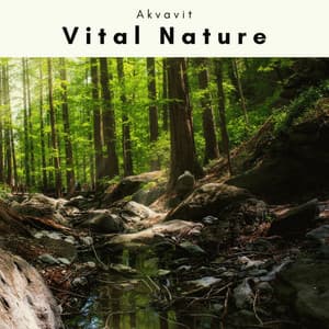 4 Nature: Vital Nature - Akvavit