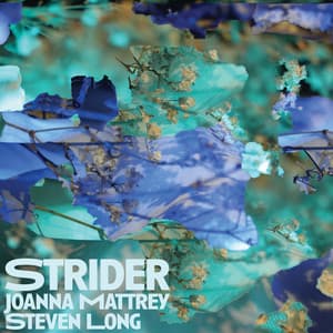 Strider - Joanna Mattrey