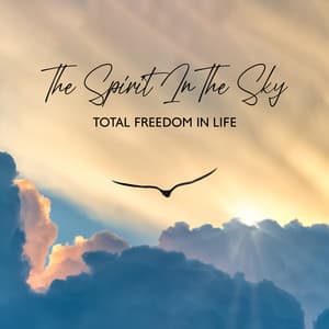 The Spirit In The Sky: Total Freedom In Life - 7 Types Of Spirits