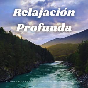 Naturaleza Relajante: Flujo De Aguas Calmas Para La Relajación Profunda - Ciencia del Agua