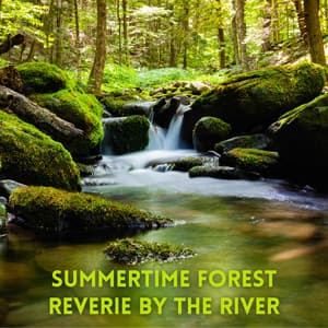 Summertime Forest Reverie by the River - Nature Sounds And Whispers