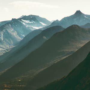 Harmonic Balance - Yoga Flow