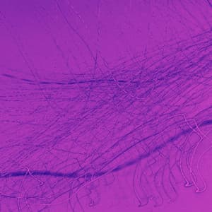 Outstanding Music for Nocturnal Monday - Bossa Guitar Trio with Jazz Organ - Bossa Nova Project