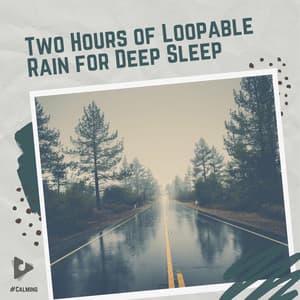 2 Hours of Loopable Rain for Deep Sleep - #Calming