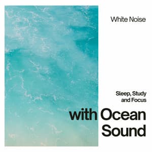 Sleep, Study and Focus with Ocean Sound, White Noise, Loopable - Nature Sounds Artists