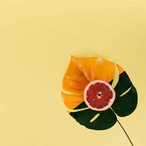 Echoes of Breakfast Jazzing - Playliste Travail à Domicile