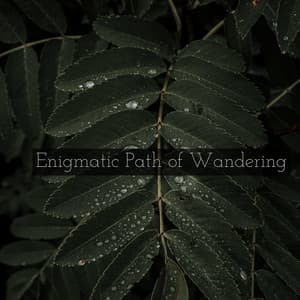 Enigmatic Path of Wandering - Spiritloom