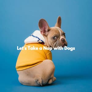 Let's Take a Nap with Dogs - Cozy Coffee Shop Jazz